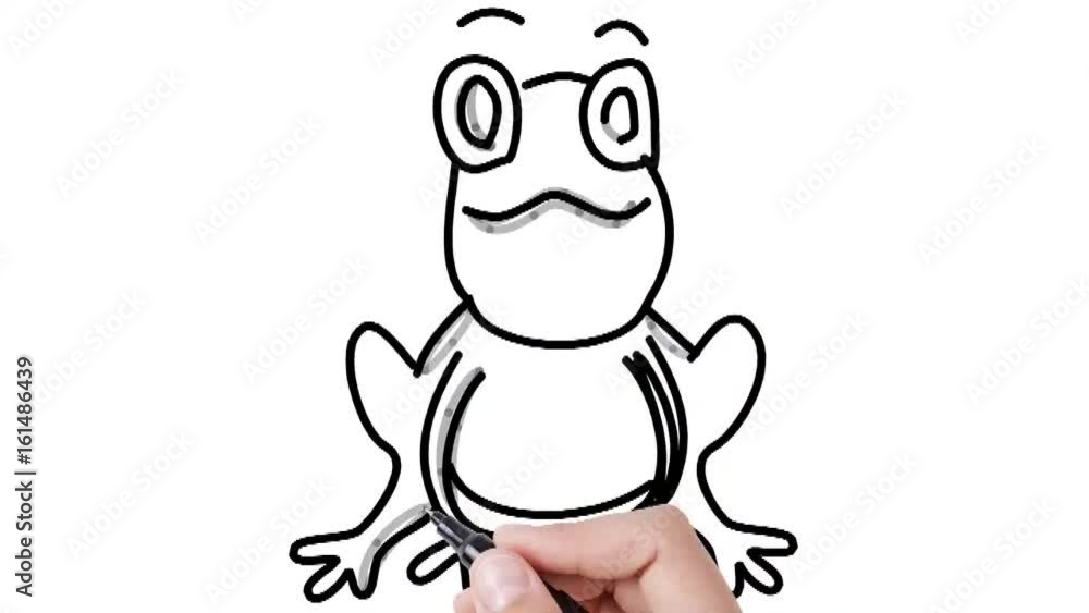 Man sketching Frog on whiteboard background Man sketching Frog on whiteboard background
