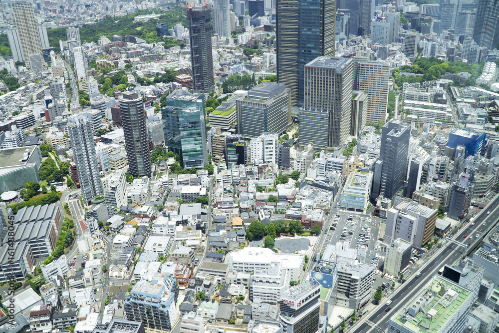 Fototapeta premium 東京都市風景 俯瞰で望む六本木周辺