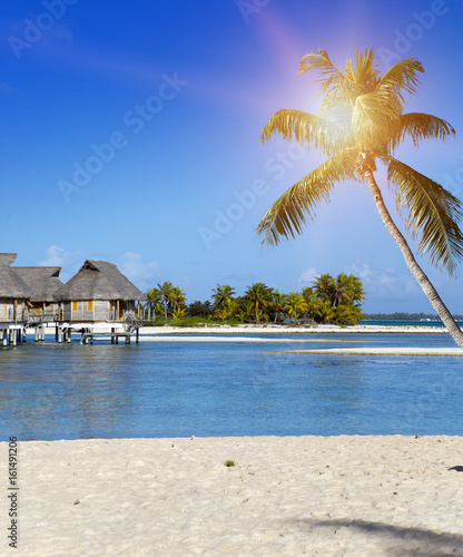 Inclined palm tree on the beach and houses over water in the sea. Polynesia  Tahiti