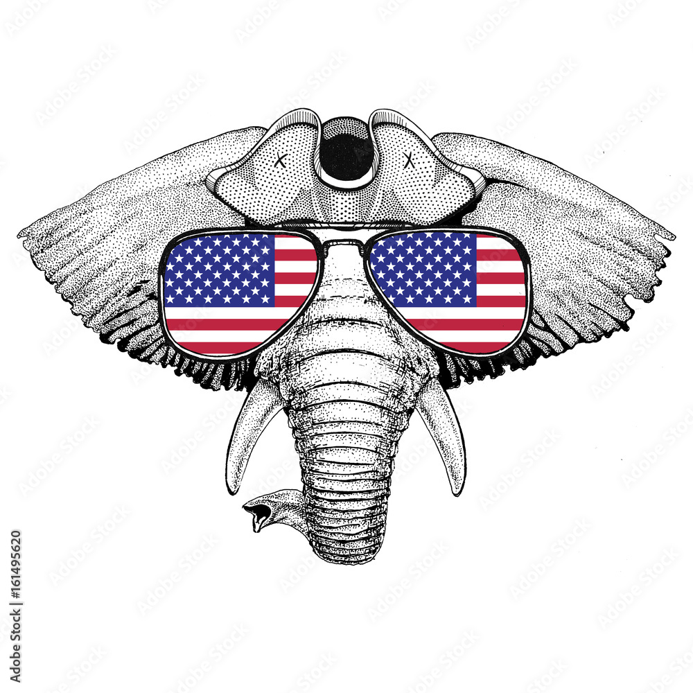 Obraz premium African or indian Elephant wearing pirate hat Cocked hat, tricorn Sailor, seaman, mariner, or seafarer
