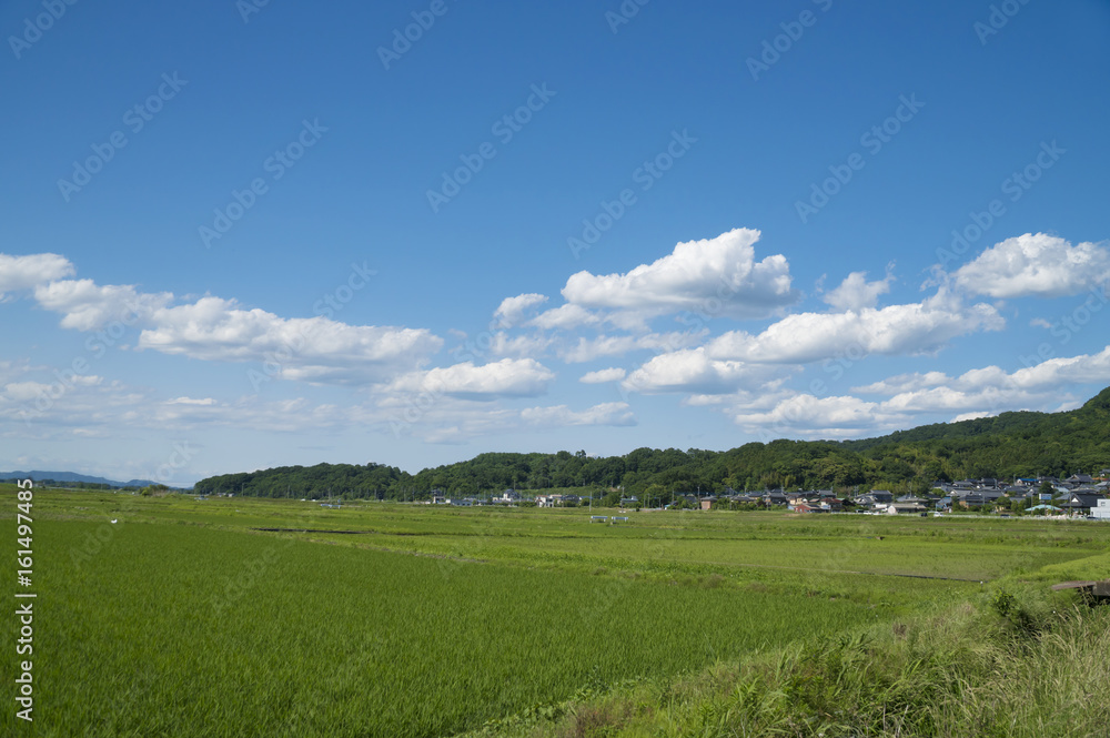 筑波山ふもとの春の風景