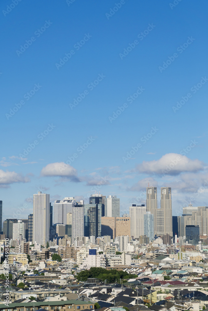 東京都市風景　新宿高層ビル群