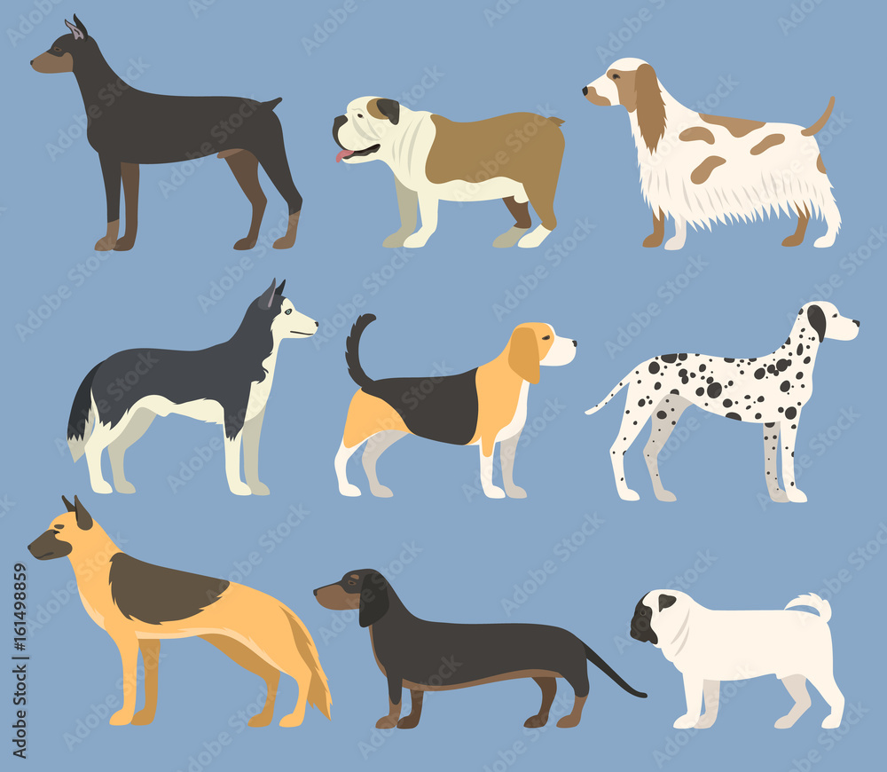 Dog pet character bread in flat style puppy pet animal doggy vector illustration. Dog pet character bread in flat style puppy pet animal doggy vector illustration.