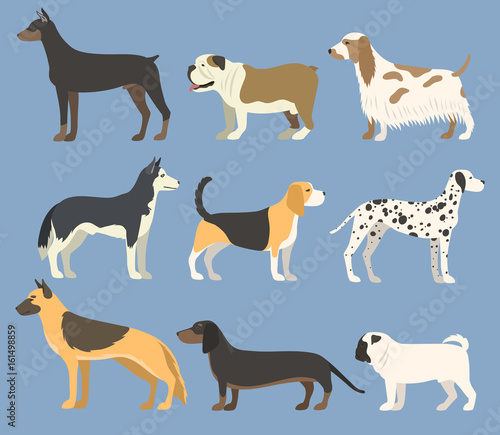 Dog pet character bread in flat style puppy pet animal doggy vector illustration.