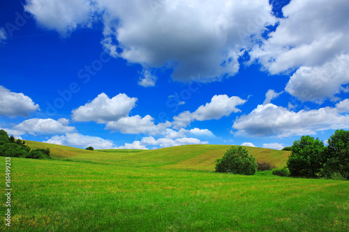 Field with green grass and blue sky with clouds. © Swetlana Wall