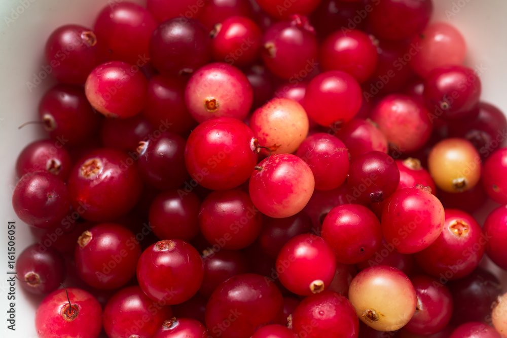 Fresh cranberries macro photo background Fresh cranberries macro photo background