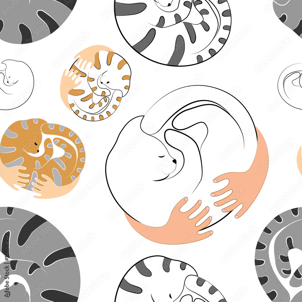 Seamless pattern sleeping striped and white cats in the hands of a man on a white background Seamless pattern sleeping striped and white cats in the hands of a man on a white background