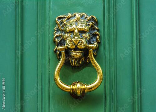 Canvas Print Door with brass knocker in the shape of a lion's head, beautiful entrance to the