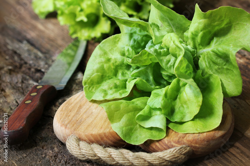 Raw green organic butter lettuce ready to chop on cutting board with knife