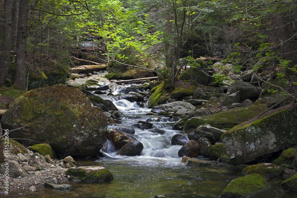 River Sream  Mount Washinton area via Ammonoosuc ravine trail