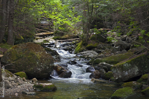 River Sream  Mount Washinton area via Ammonoosuc ravine trail