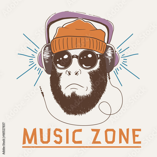 Music fan hipster monkey