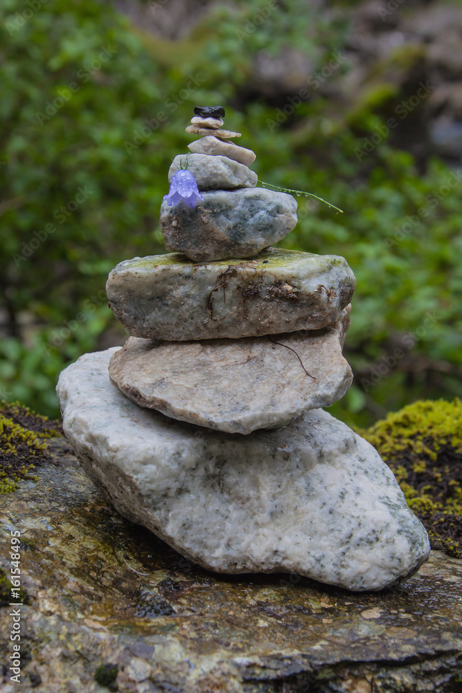 Stone pyramid with blue bellflower on mountain tourist route in rainy weather, Norway Stone pyramid with blue bellflower on mountain tourist route in rainy weather, Norway