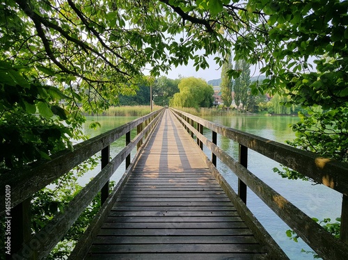 Holzbr  cke   ber den Rhein bei Eschenz