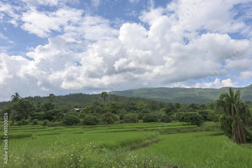 Landscape in Thailand.