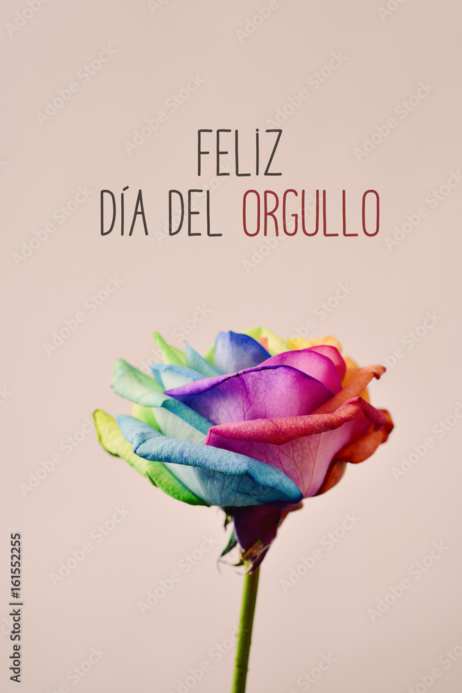 text feliz dia del orgullo, happy gay pride in spanish StockFoto Adobe Stock