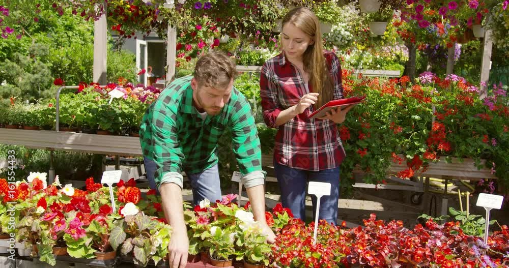 Professional man and woman botanists in the garden doing horticulture job together.