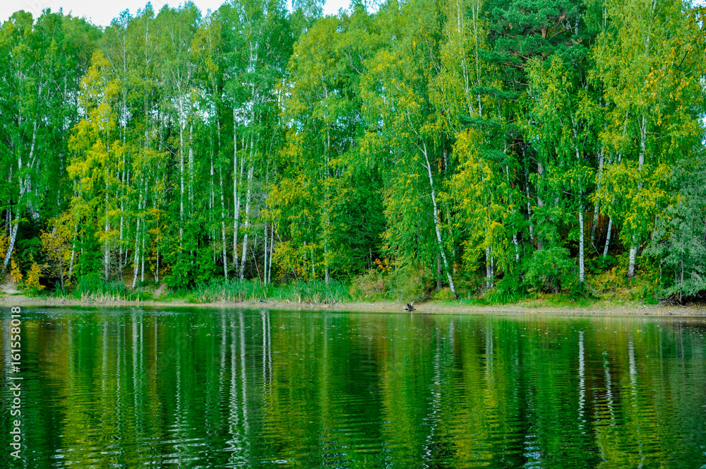 Reflection in water of an autumn landscape.Abstract background.Retro filter. Reflection in water of an autumn landscape.Abstract background.Retro filter.