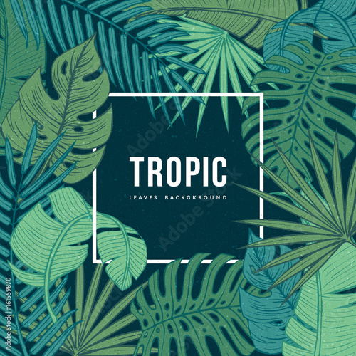 Modern floral background with frame for your text. Tropic leaves composition. Eps10 vector.