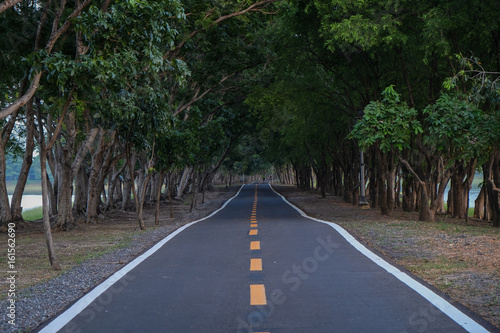 Road tunnel of trees in park. © Jame.Pakpoom