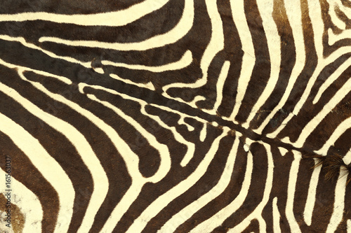 zebra striped pattern