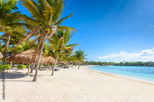 Akumal beach - paradise bay  Beach in Quintana Roo  Mexico - caribbean coast