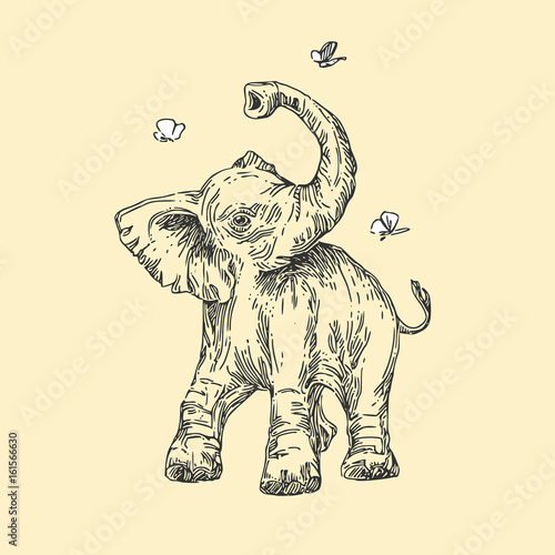 Baby animals. Wild. elephant. Vintage style. Vector illustration.