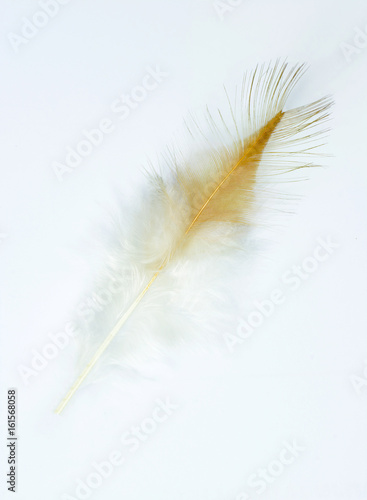 Bohemian boho style vintage color trends  Chicken feather texture background