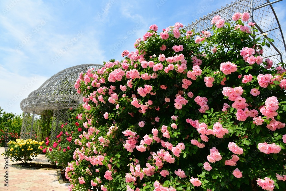 custom made wallpaper toronto digitalフラワーガーデン