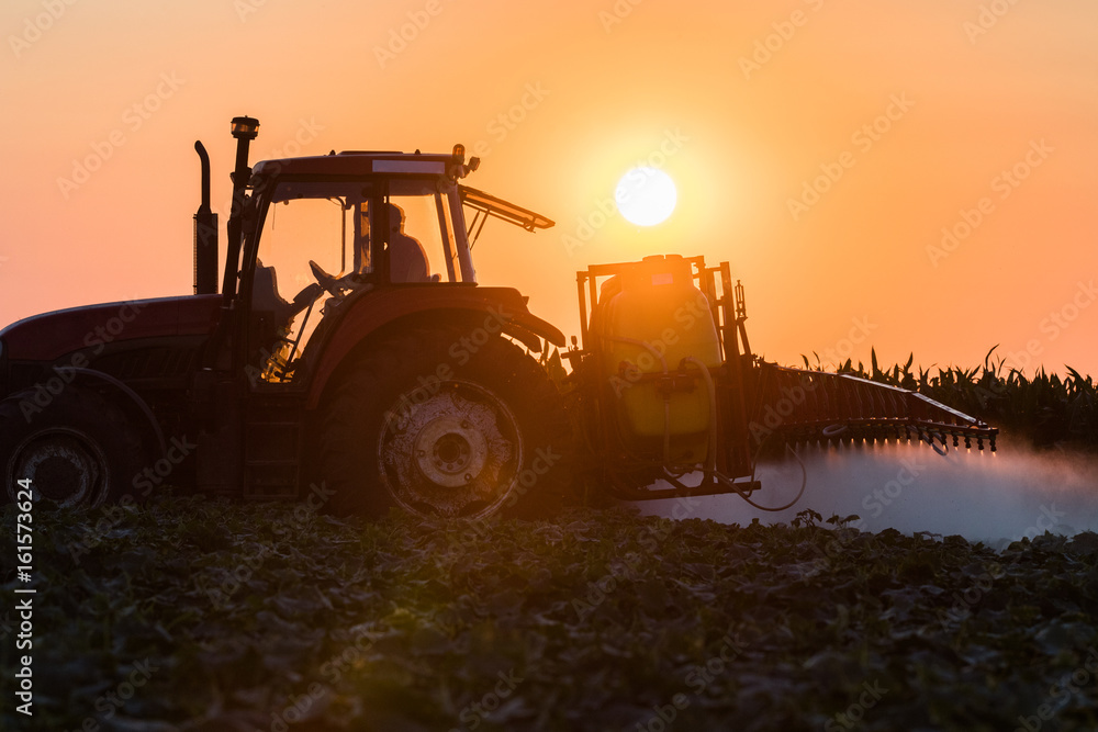 Obraz premium Tractor spraying vegetable field at spring