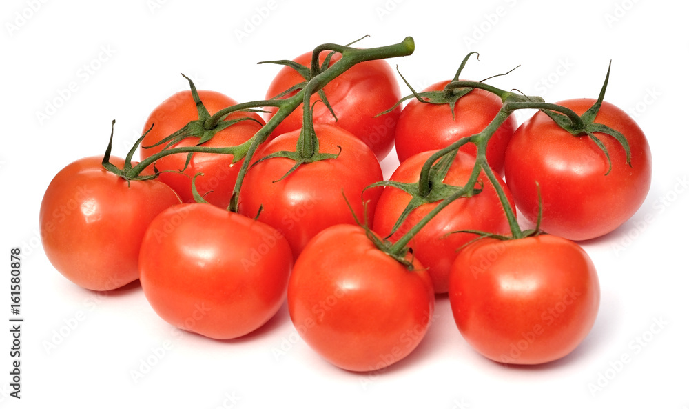 Branch Tomatoes Isolated