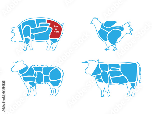 Beef, pork, lamb and chicken meat butchers chart