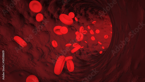 Fotografie Red blood cells in bloodstream macro view