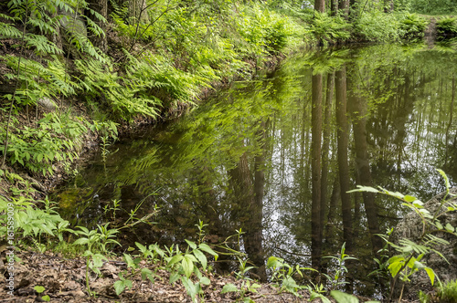 Quiet forest lake with clear water which reflects the trees and sky. © koldunova