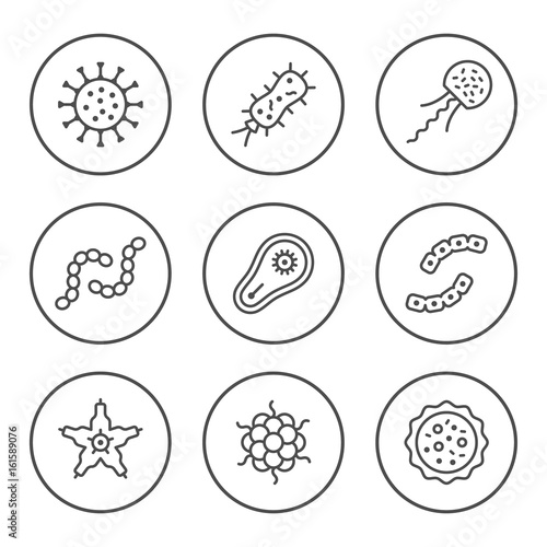 Set round line icons of microbe and bacterium