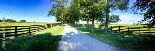Horse farms just outside Lexington KY, Known as the  "Horse Capital of the World".