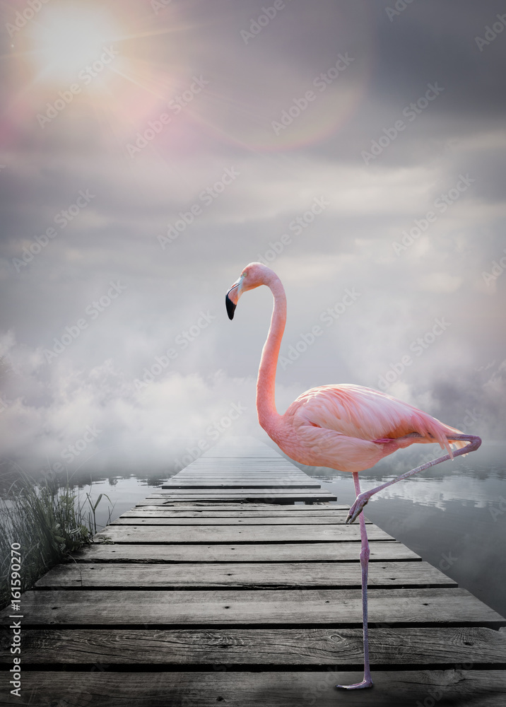 Fototapeta premium Świat fantasy flamingów