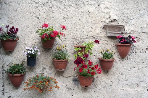 Flowerpots hung up at the wall © Tony