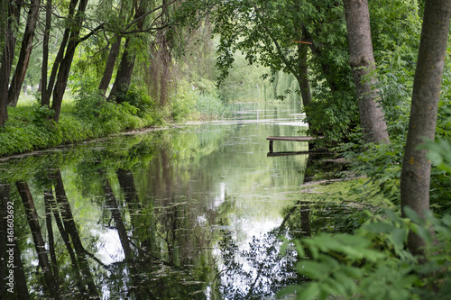 Lake pond in a forest park with trees on the shore with a pier for fishing