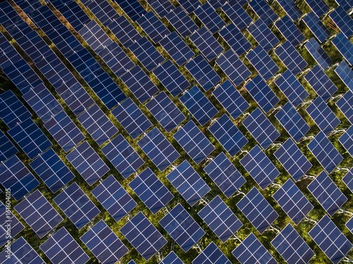 Solar panels (solar cell) in solar farm to create the clean electric power.
