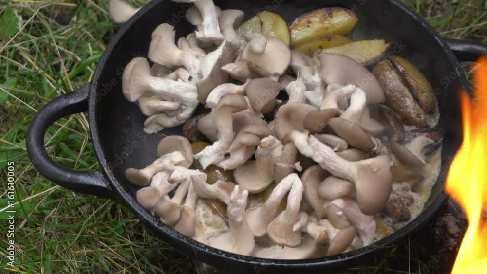 Frying potato with mushroom in butter using a frying pan. Preparing food on campfire in wild camping. Frying potato with mushroom in butter using a frying pan. Preparing food on campfire in wild camping.