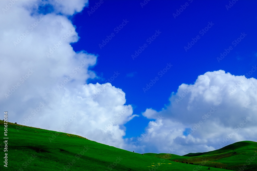 Obraz premium Or is this Bliss?