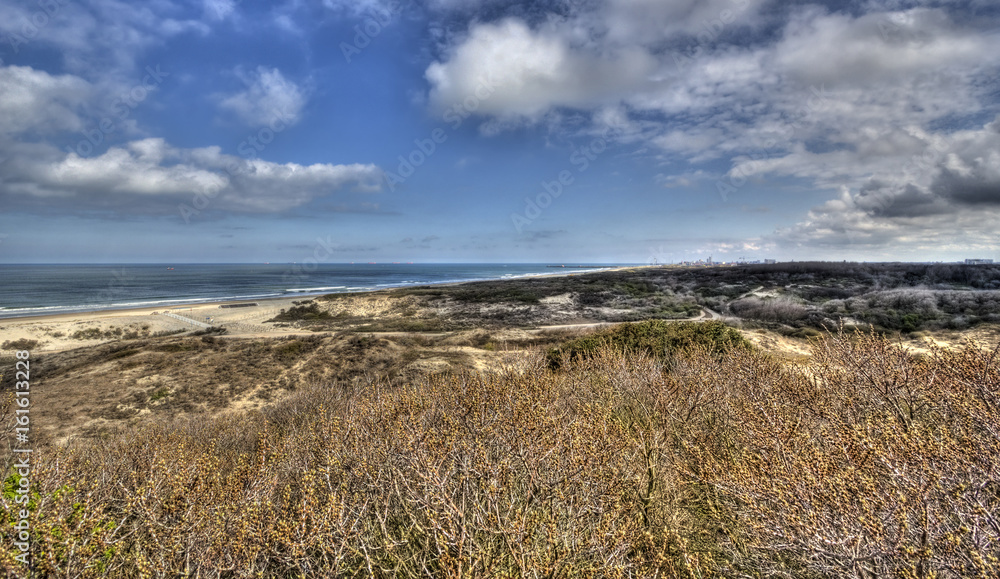 Dunes on the Dutch coast