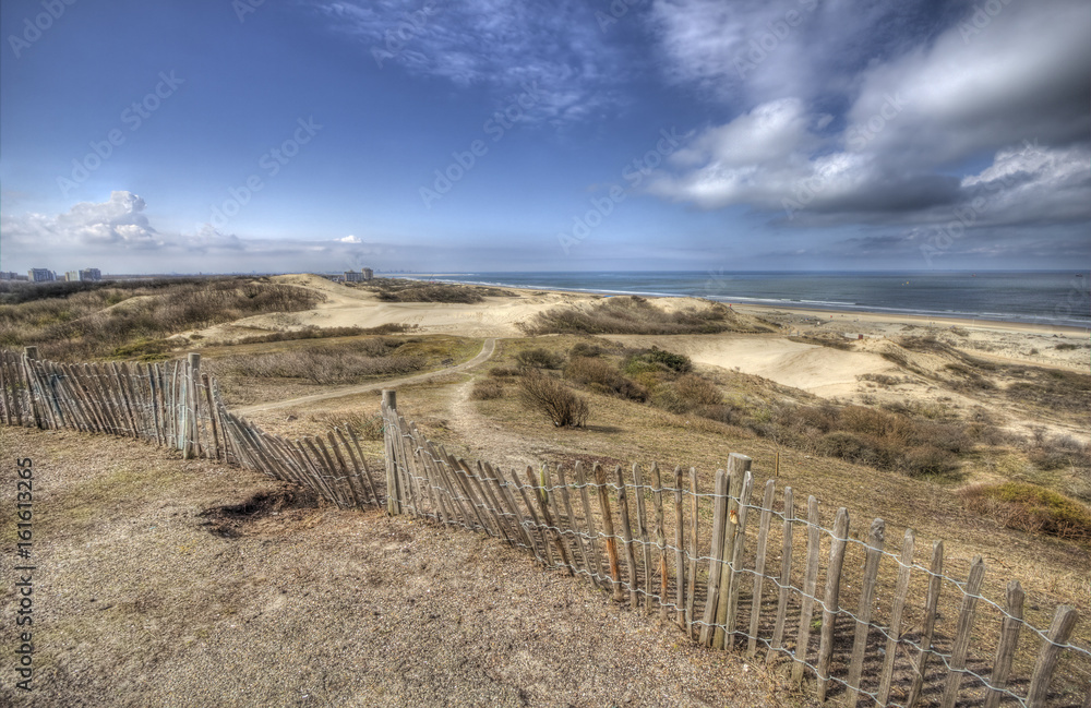 Fotografie Dunes on the Dutch coast