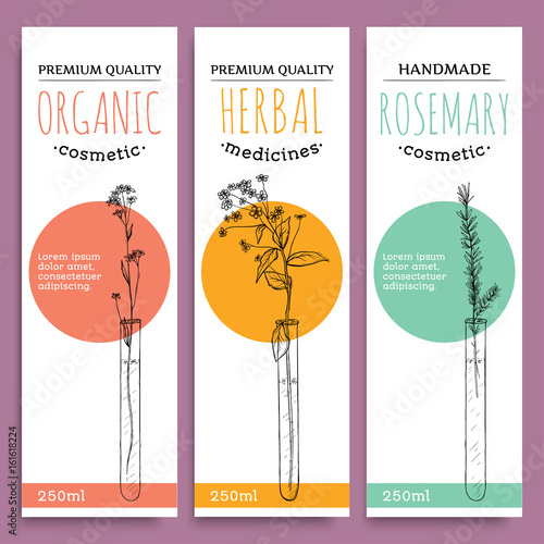 Sketch herbal vertical banners with organic herbs rosemary valuable for human health vector illustration