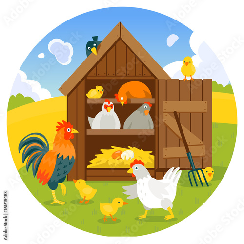 Henhouse with funny birds on a green lawn vector illustration 