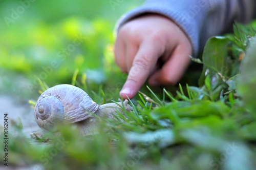 Child's finger pointing on the snail. Image with selective focus