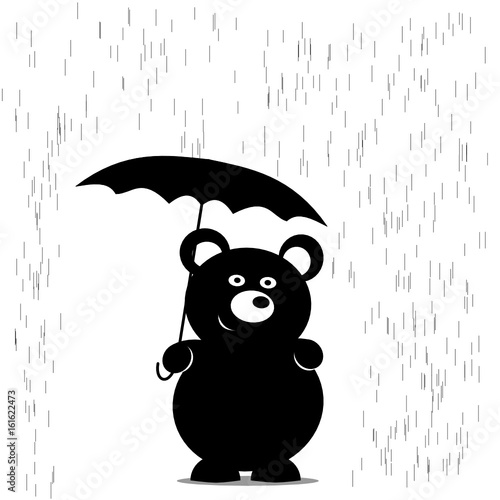 Bär im Regen