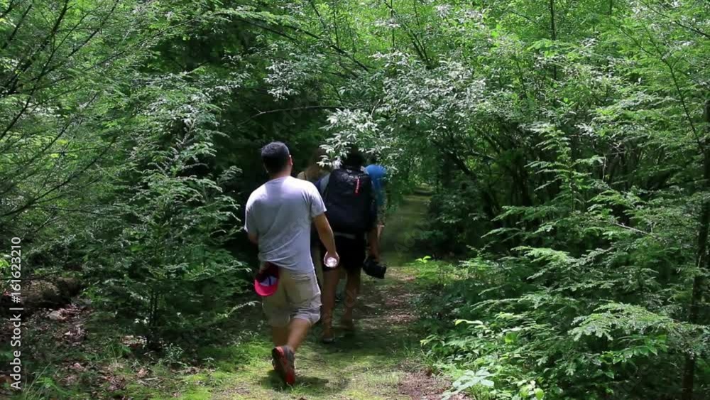 Friends Hiking Friends Hiking
