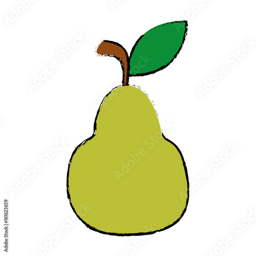 pear fruit icon over white background vector illustration